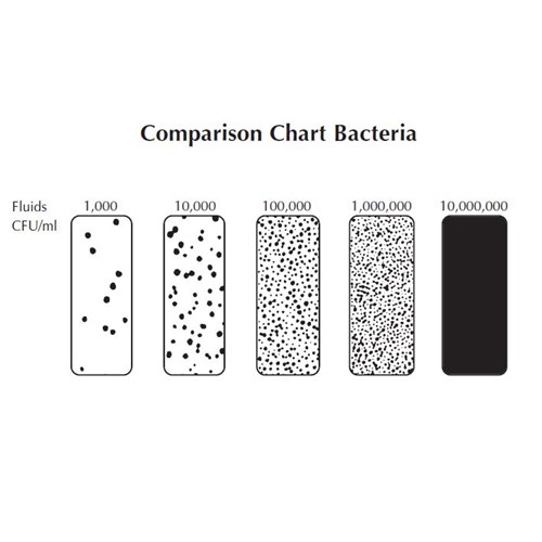 Comparison Chart Bacteria